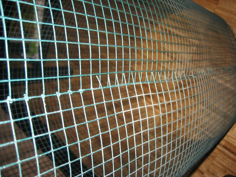 Terrario_Camaleon (5).jpg