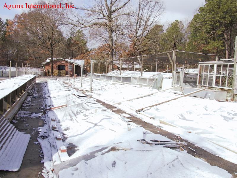 Terrarios cubiertos en invierno