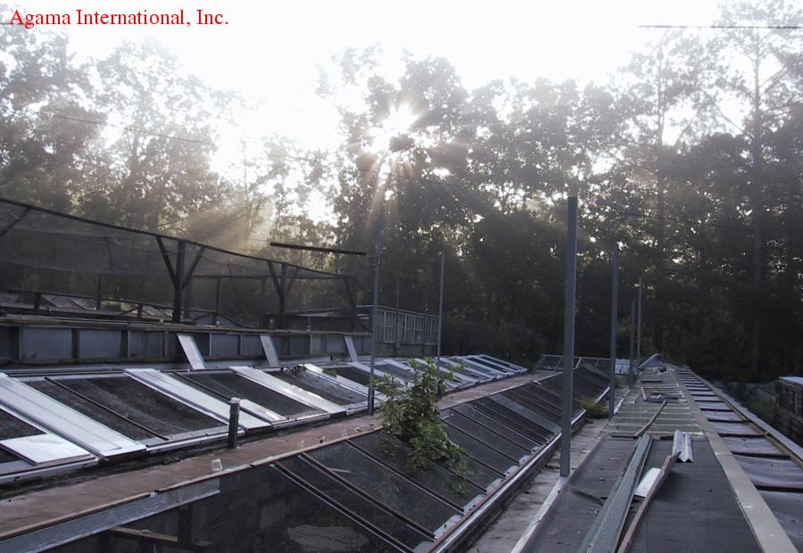 Terrarios exteriores