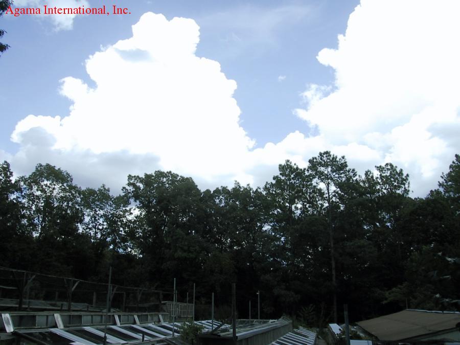 Terrarios exteriores