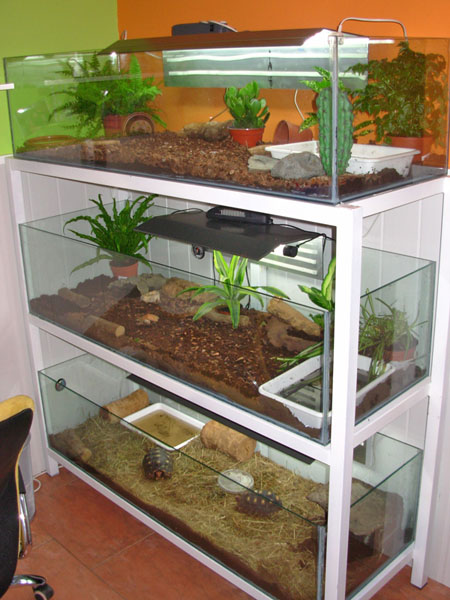 terrarios.jpg