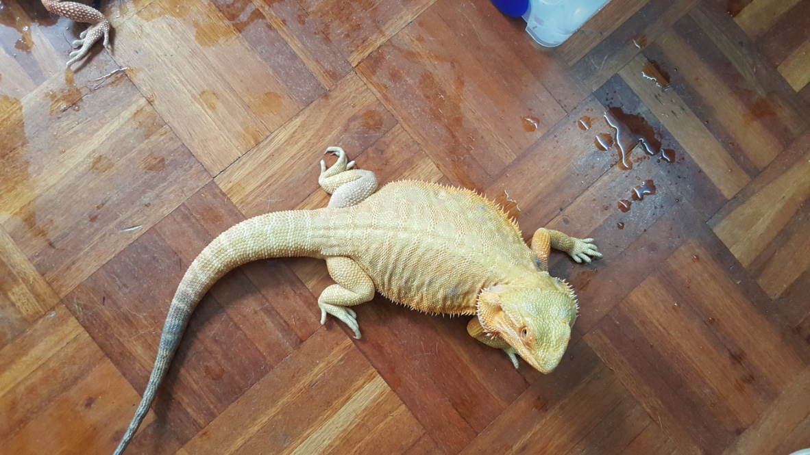 Thumb_20160514_143606_1024