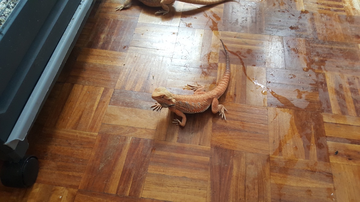 Thumb_20160514_143659_1024