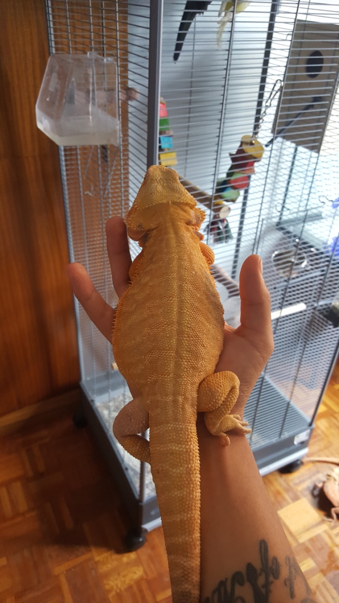 Thumb_20160514_144003_1024