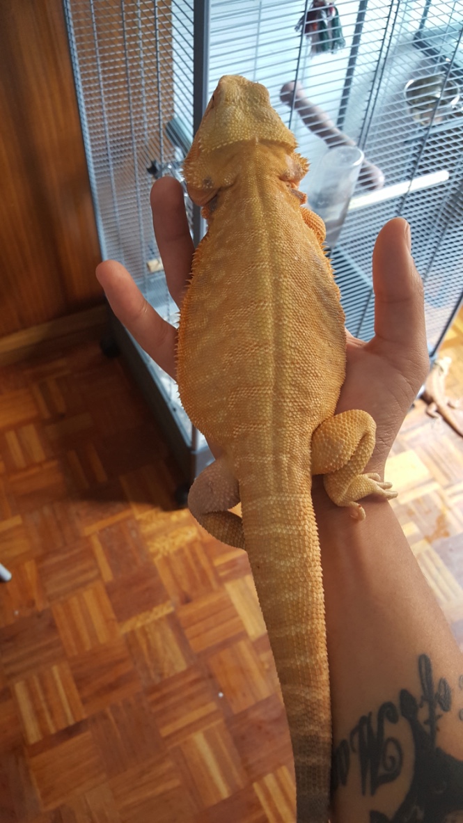 Thumb_20160514_144017_1024