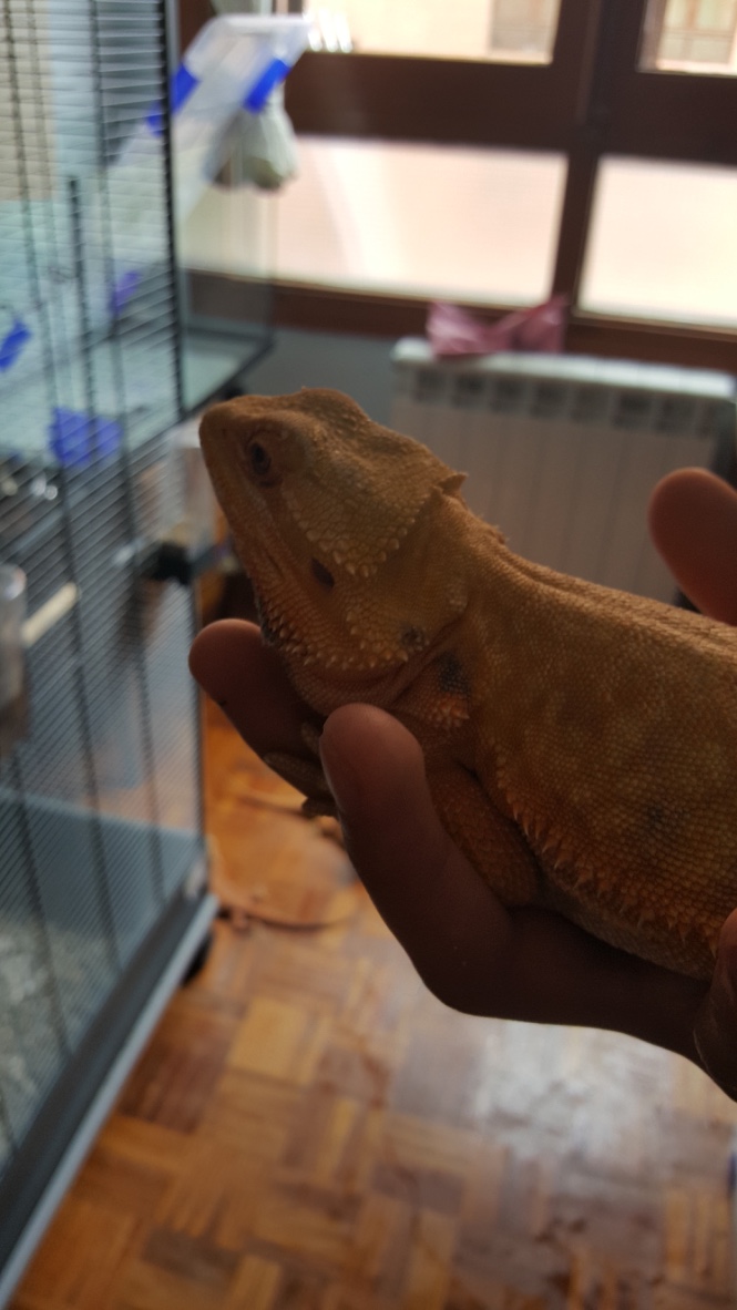 Thumb_20160514_144021_1024