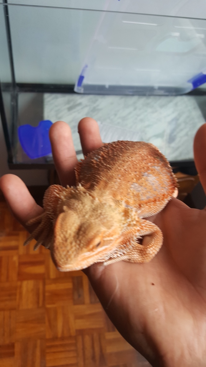 Thumb_20160514_144053_1024