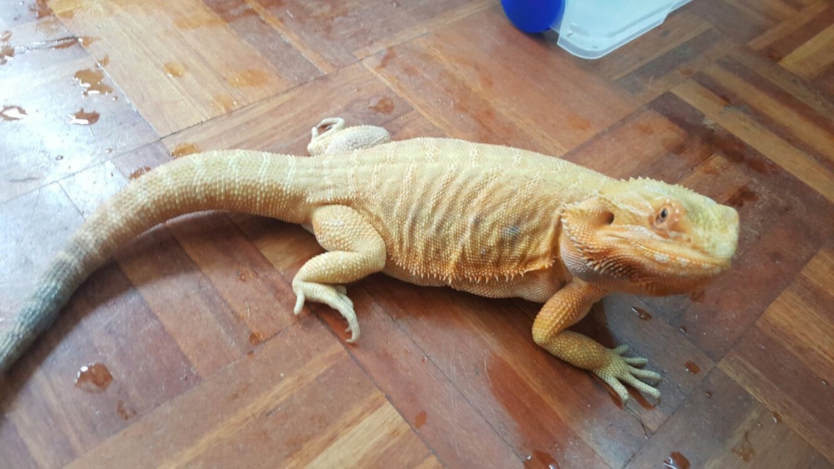 Thumb_IMG-20160514-WA0010_1024