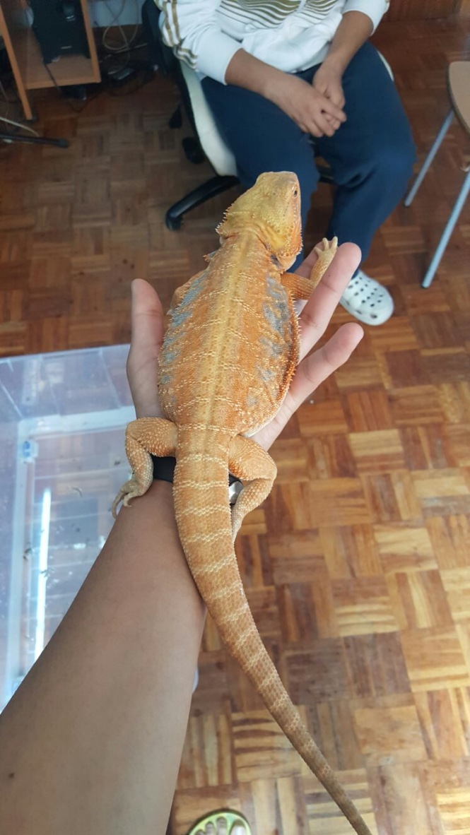 Thumb_IMG-20160514-WA0011_1024