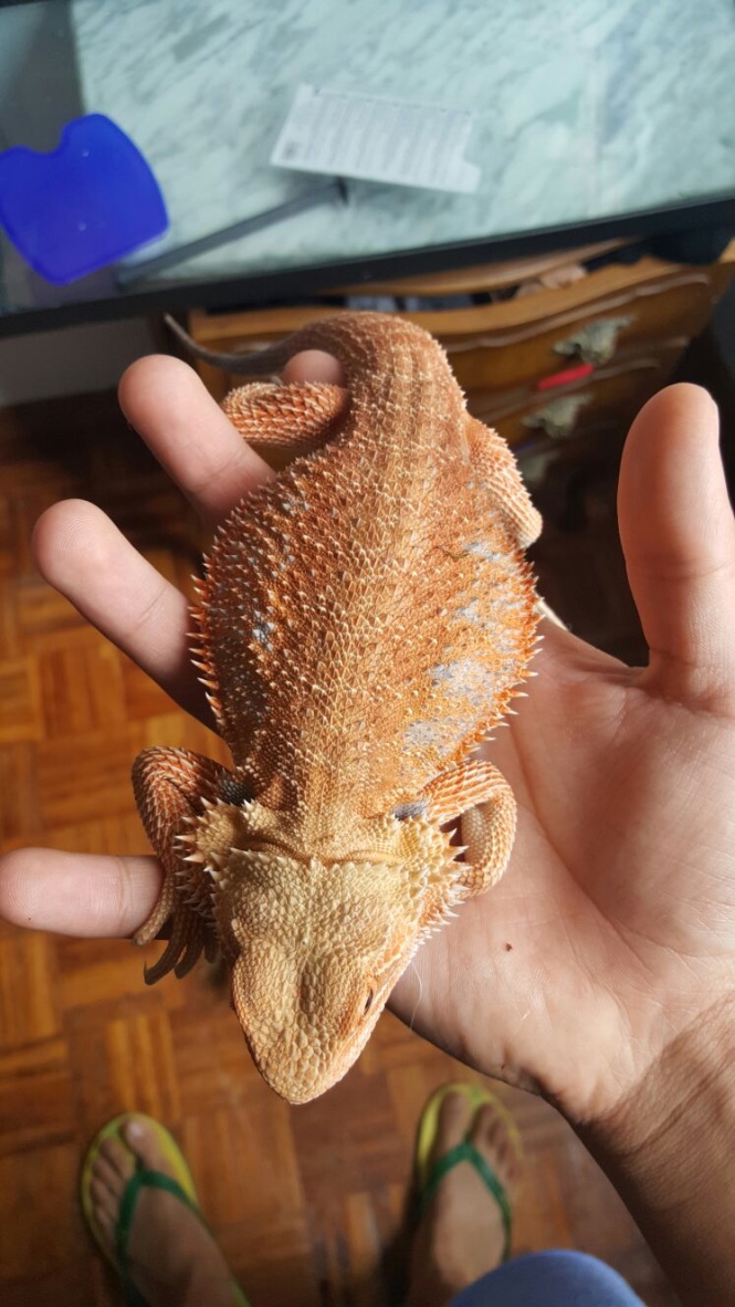 Thumb_IMG-20160514-WA0012_1024