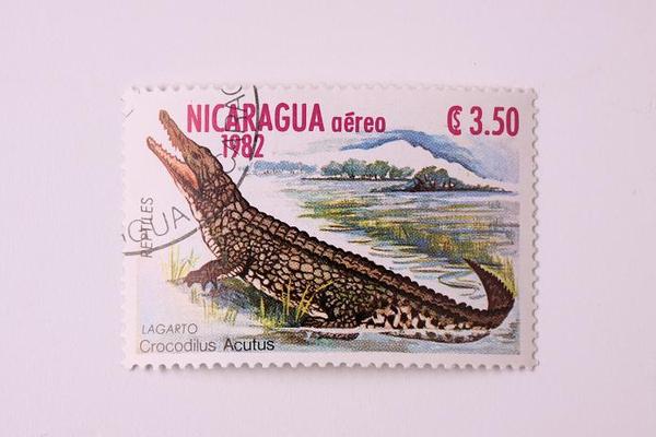 timbres de cocodrilos 004.jpg