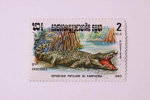 timbres de cocodrilos 005.jpg