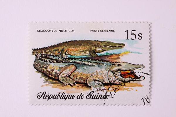 timbres de cocodrilos 011.jpg