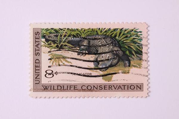 timbres de cocodrilos 019.jpg