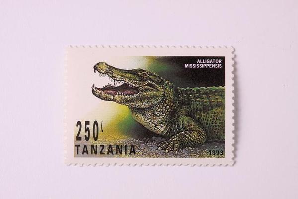 timbres de cocodrilos 020.jpg