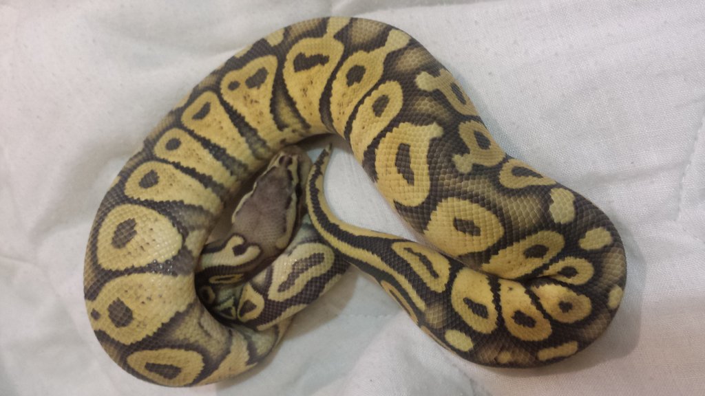 tmp IMG 20140524 WA0011 1350561244