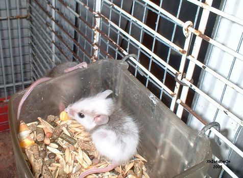 tn_10 - Junio 2005.JPG