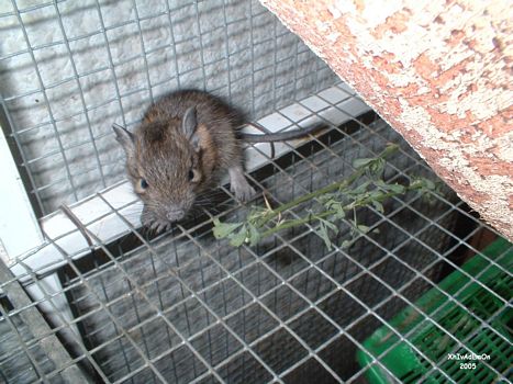 tn_33 - Agosto 2005.JPG