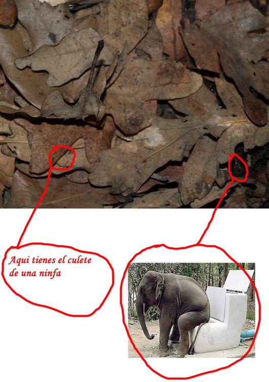 tn_resolucion concurso.jpg