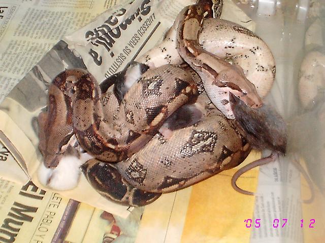 TRABAJO EN EKIPO2.JPG