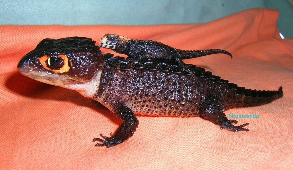 Triby con su papi_fdo.jpg