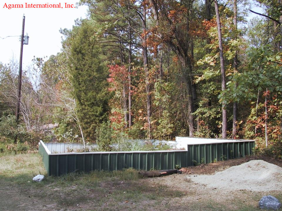 Tupinambis merianae - Terrario