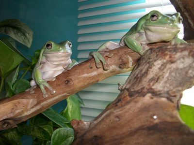 Un saludo a los del foro!