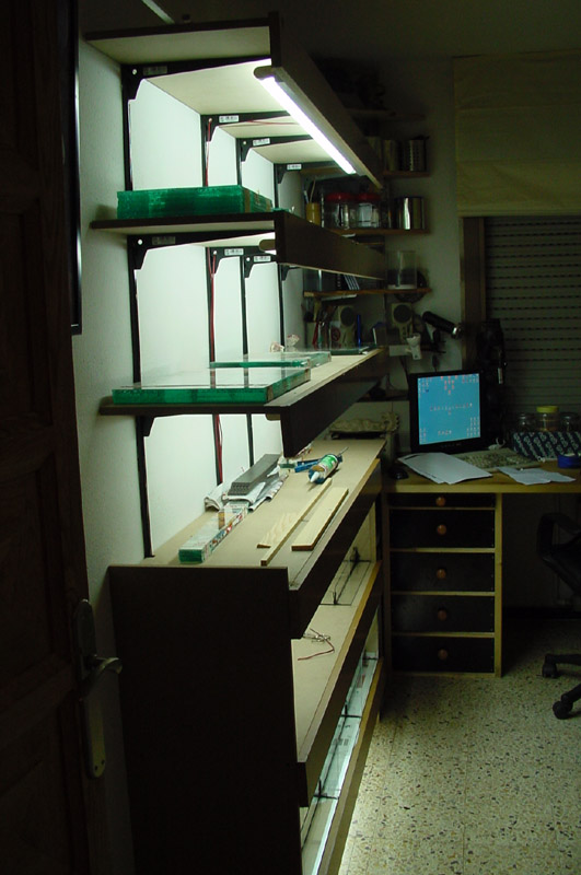 va tomando cuerpo.jpg