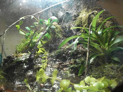 vacaciones2008 375.JPG