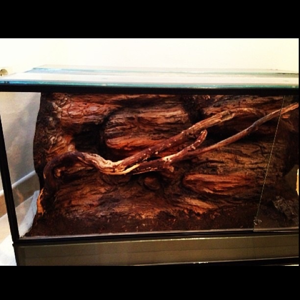 Vendo terrario arapaima 80x45x45 con bomba watsapp 664738666