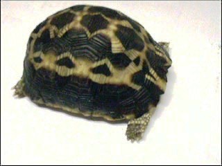 video 1 126_0001.jpg