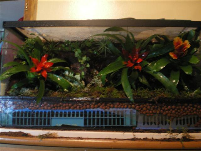 vivari acabat 95% 005 (Small).jpg