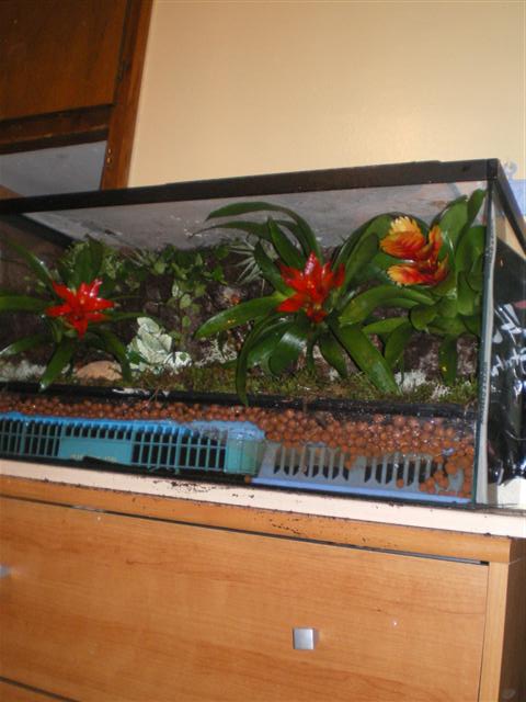 vivari acabat 95% 007 (Small).jpg