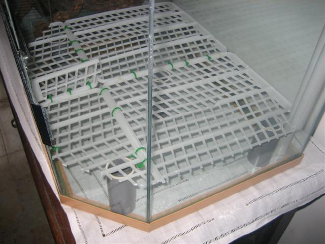 vivario 004 (Small).jpg