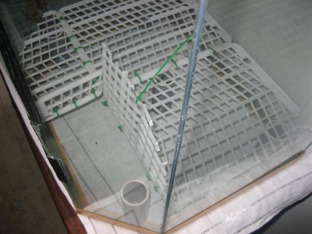 vivario 005 (Small).jpg