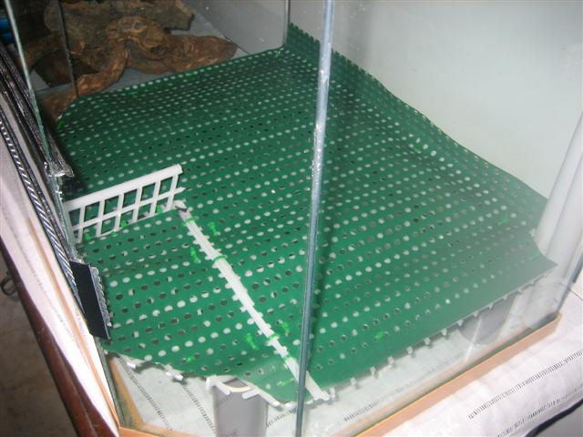 vivario 006 (Small).jpg