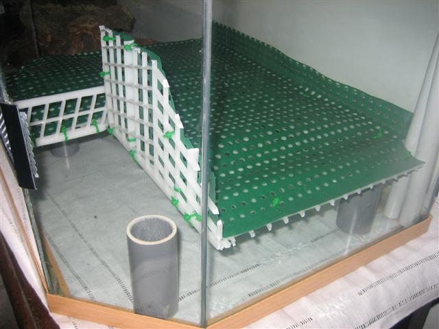 vivario 007 (Small).jpg