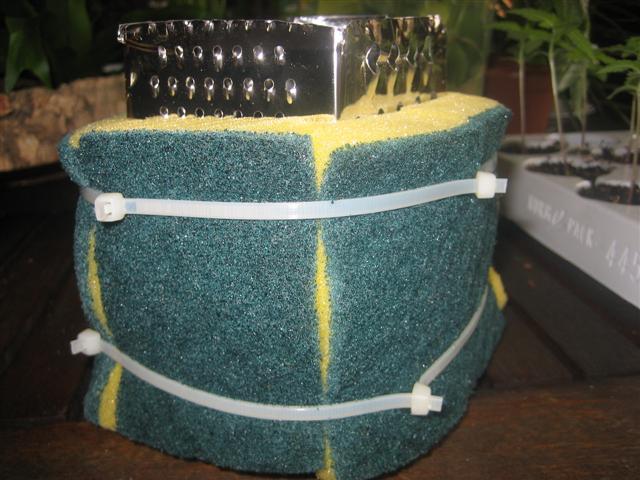 vivario 011 (Small).jpg