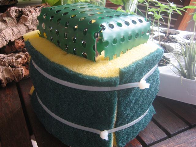 vivario 012 (Small).jpg