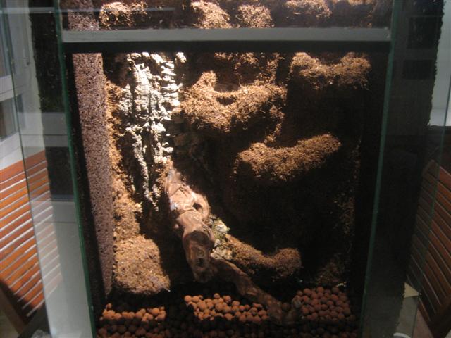 vivario 028 (Small).jpg