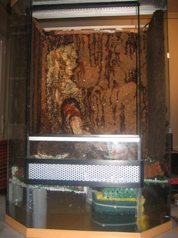 vivario 029 (Small).jpg