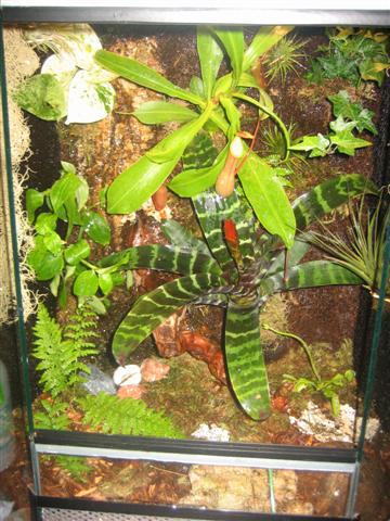 vivario 032 (Small).jpg