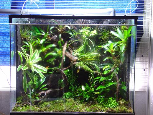 vivario 8.JPG
