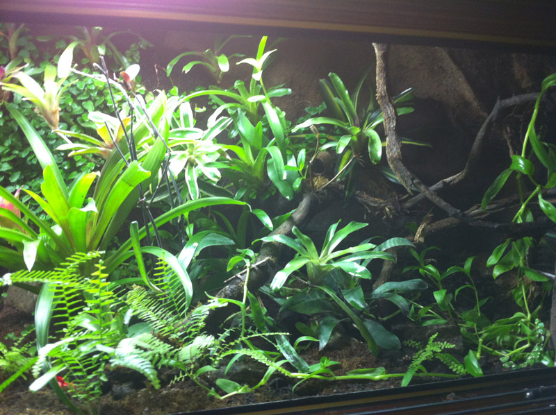 Vivario vista derecha