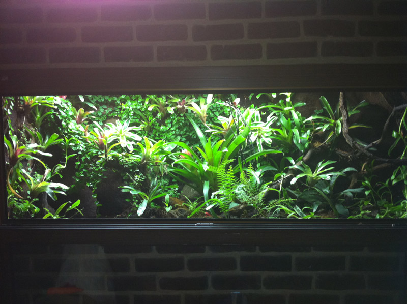 Vivario vista frontal