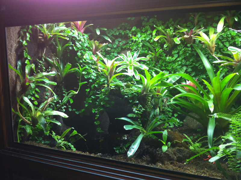 Vivario vista izquierda