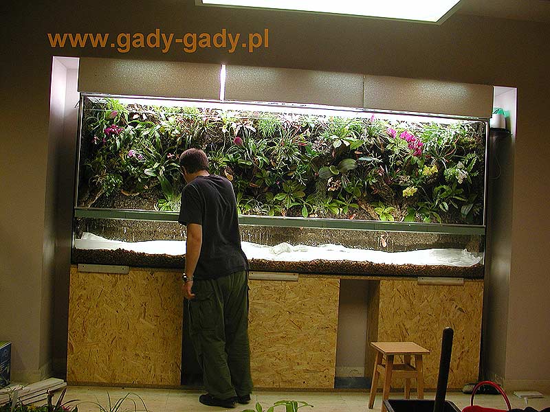 vivarium-kaz-etap8.jpg