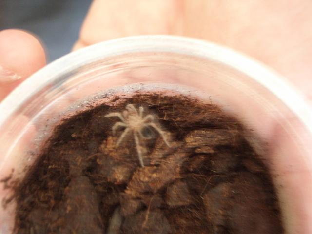 Vuelta Hamm 06!! 013.jpg