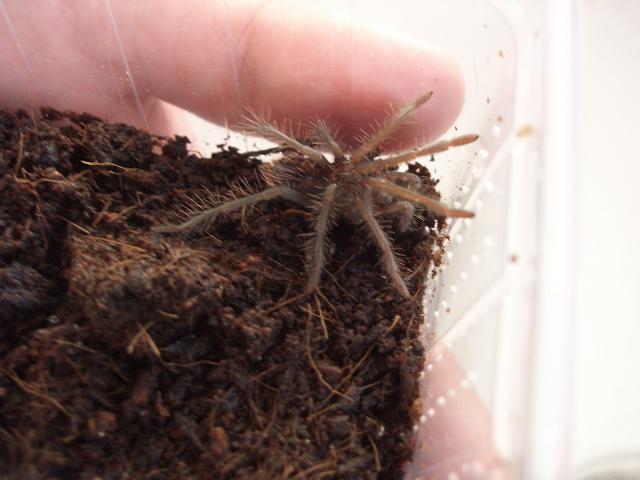 Vuelta Hamm 06!! 014.jpg