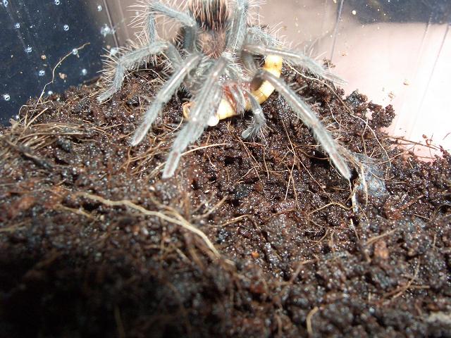 Vuelta Hamm 06!! 070.jpg